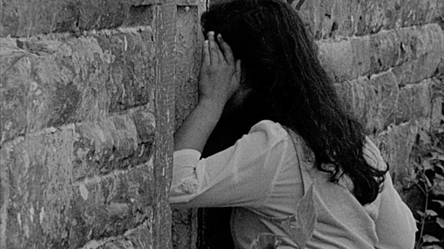 A person with long dark hair peers through a hole in an old wooden door of a stone building