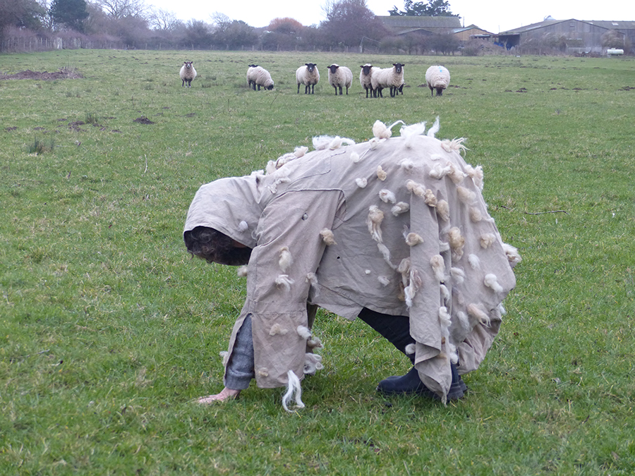 a person wearing a sheep coat in a field with other sheep