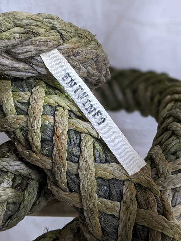 close up of entertwined flax